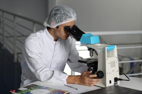 Tecnólogo de los Alimentos
