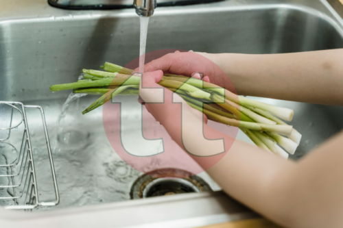 curso cocineros y pinches