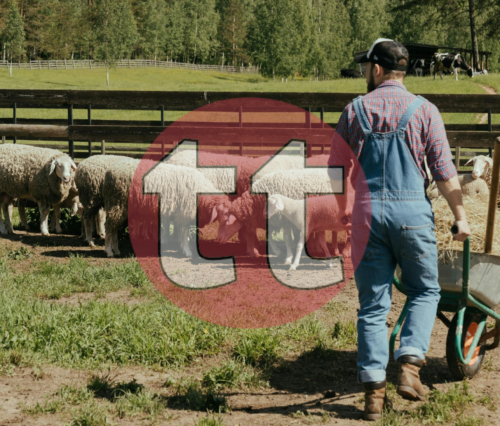 cursos monitor de oficio y tiempo libre